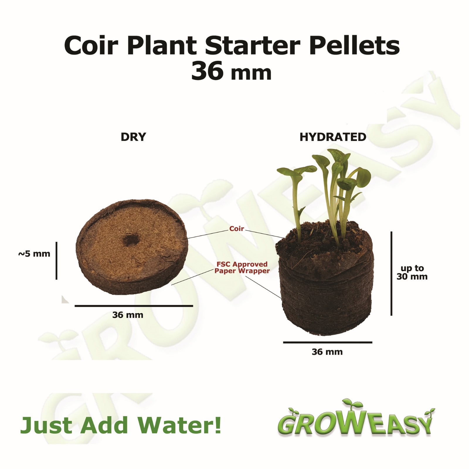 GCP Inforgraphic 0425