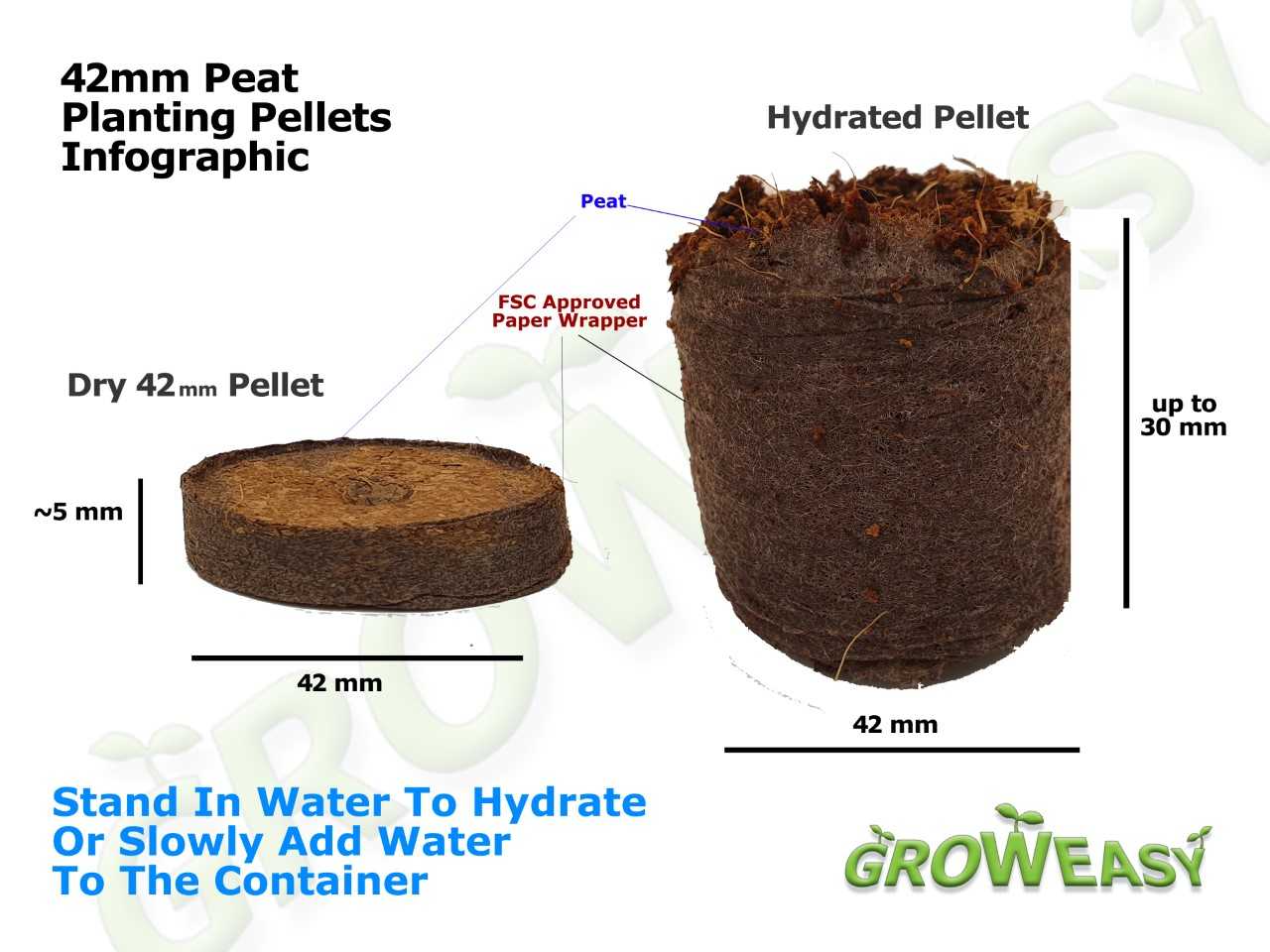 P42-infographic.jpg