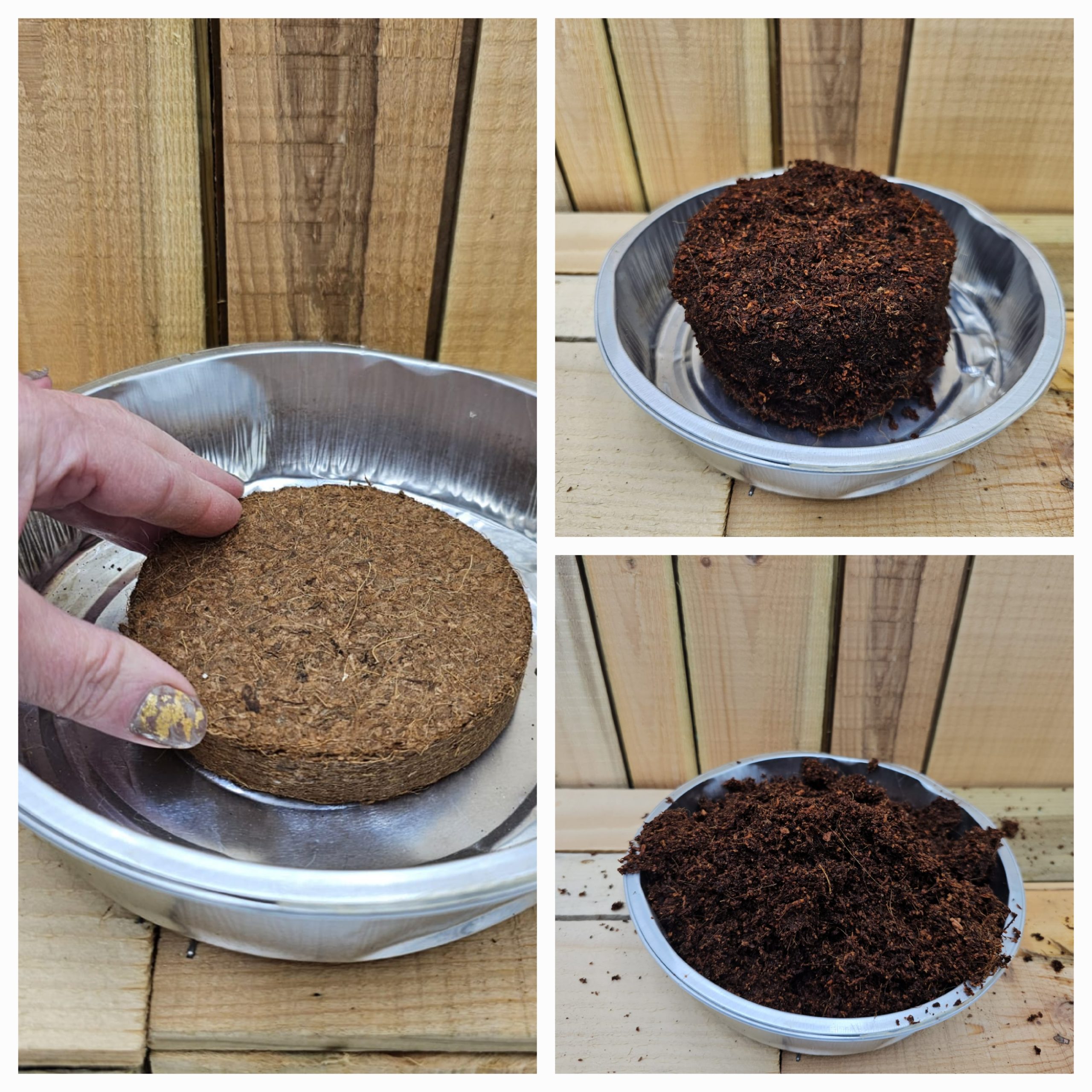 coco compost dry hydrate